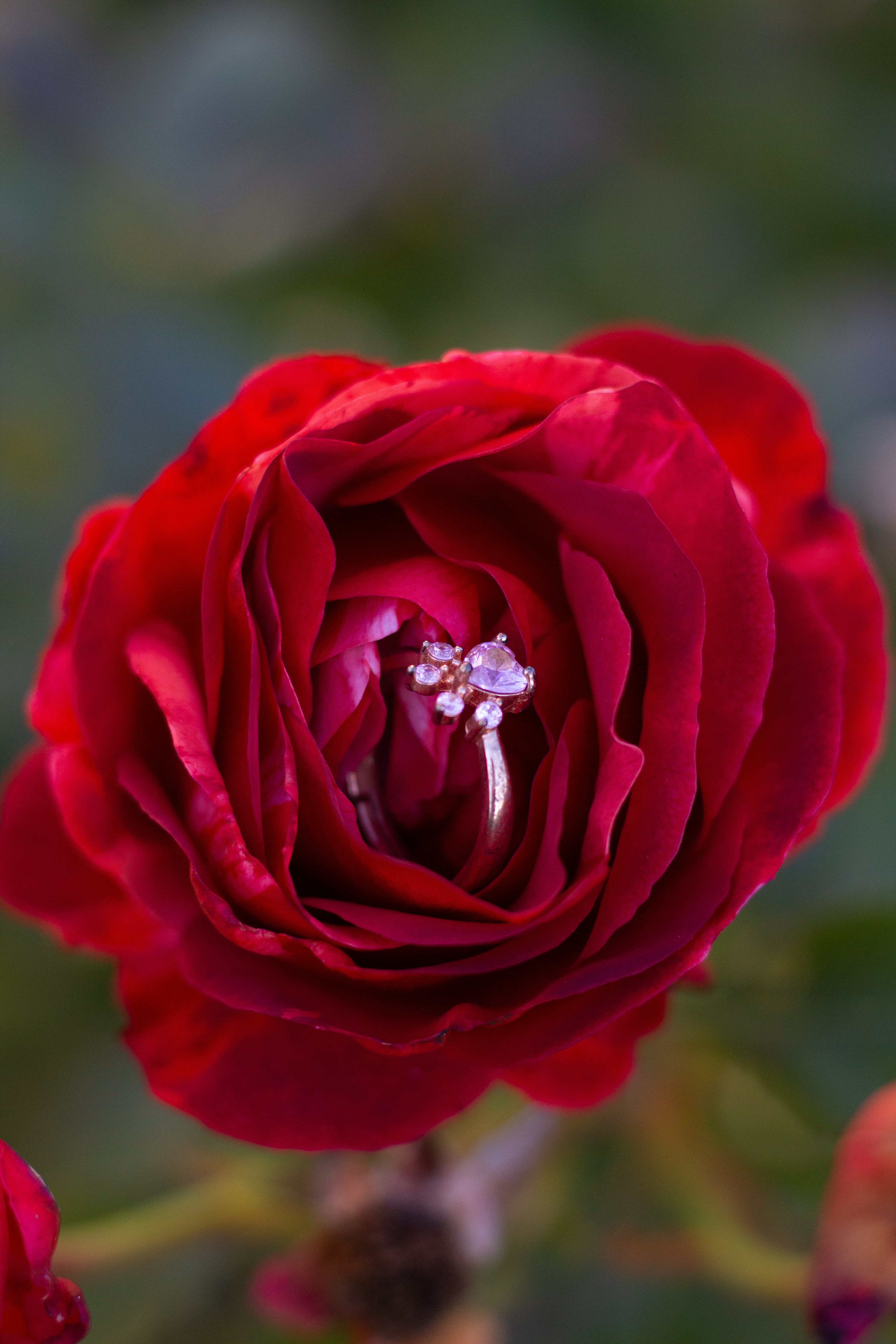 IMG_4614_1