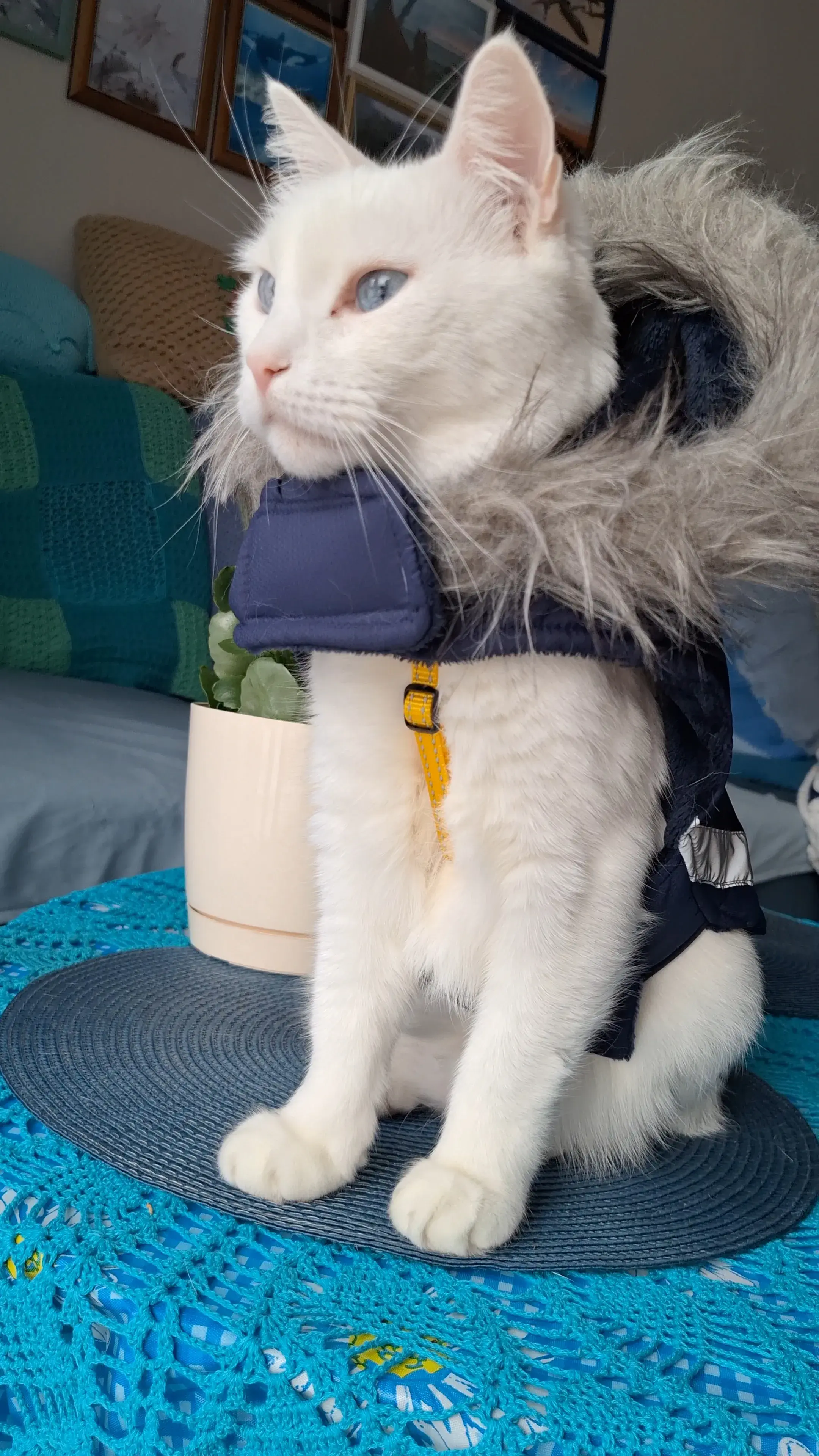 Kurri winter & spring road trip