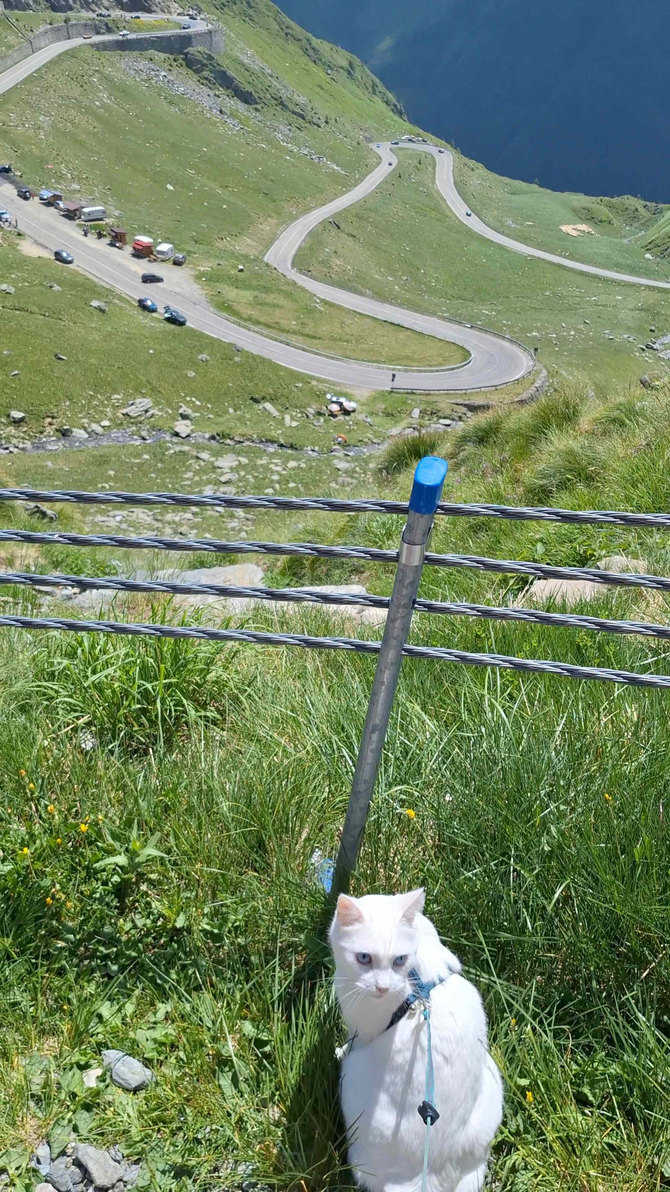 Romania