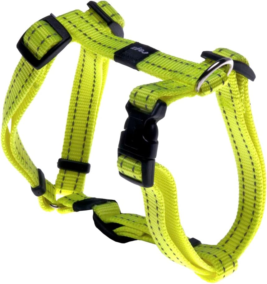 Escape-proof cat harness